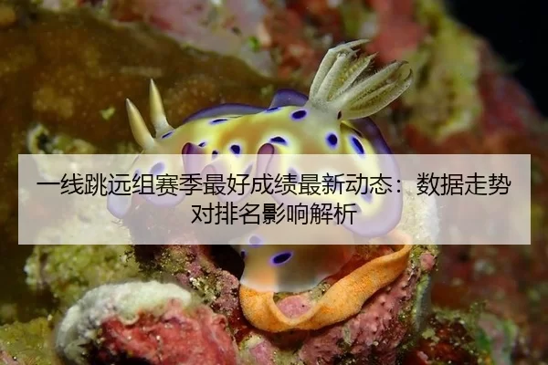 一线跳远组赛季最好成绩最新动态：数据走势对排名影响解析